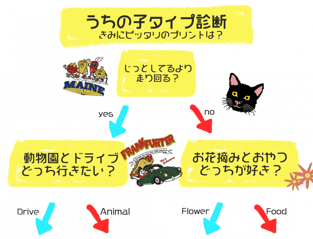 どの色が好き